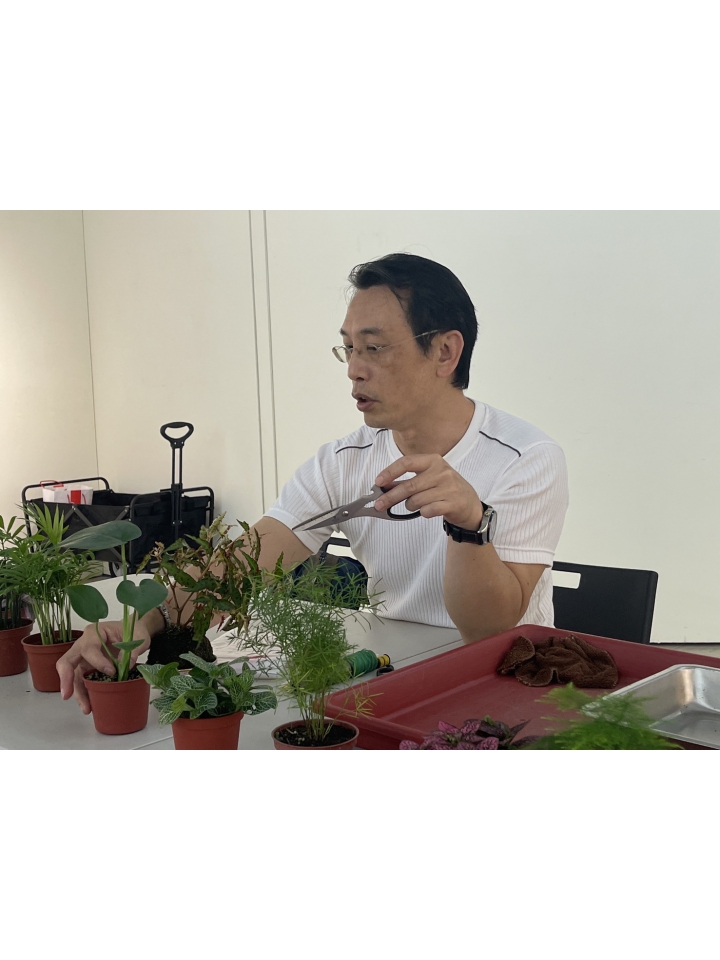 A8靈感生活 【化暗黑為力量・綠手指點成金】