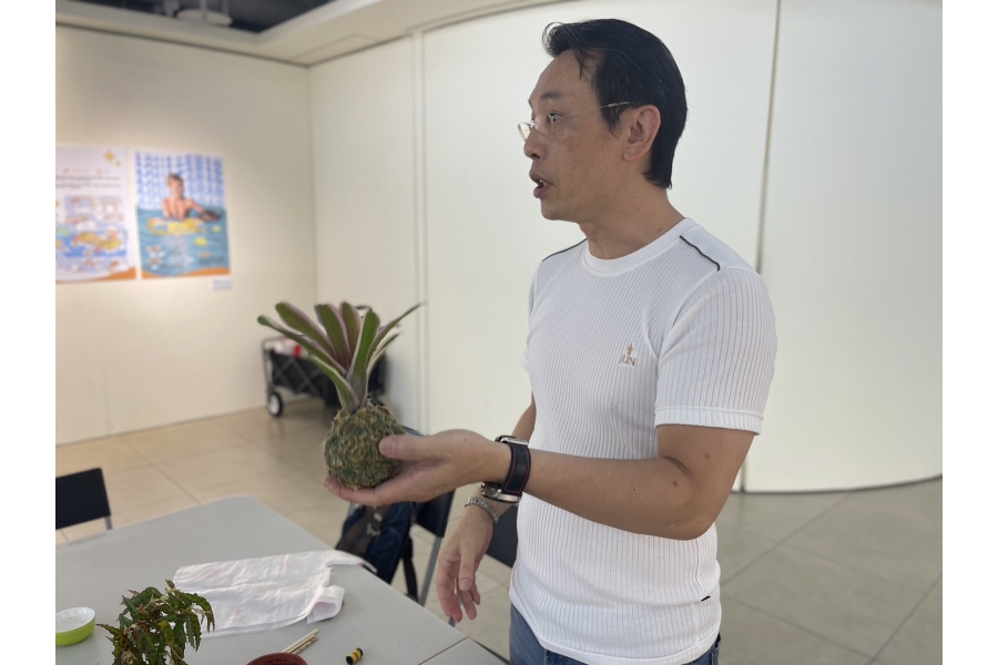化暗黑為力量・綠手指點成金 2