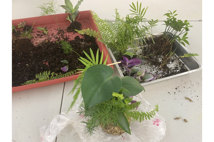 化暗黑為力量・綠手指點成金 4
