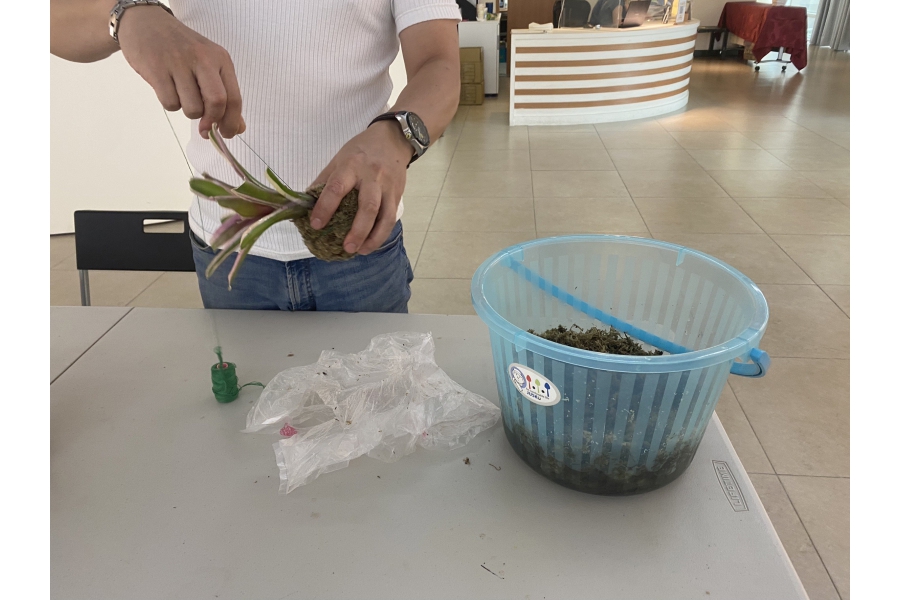 化暗黑為力量・綠手指點成金 5