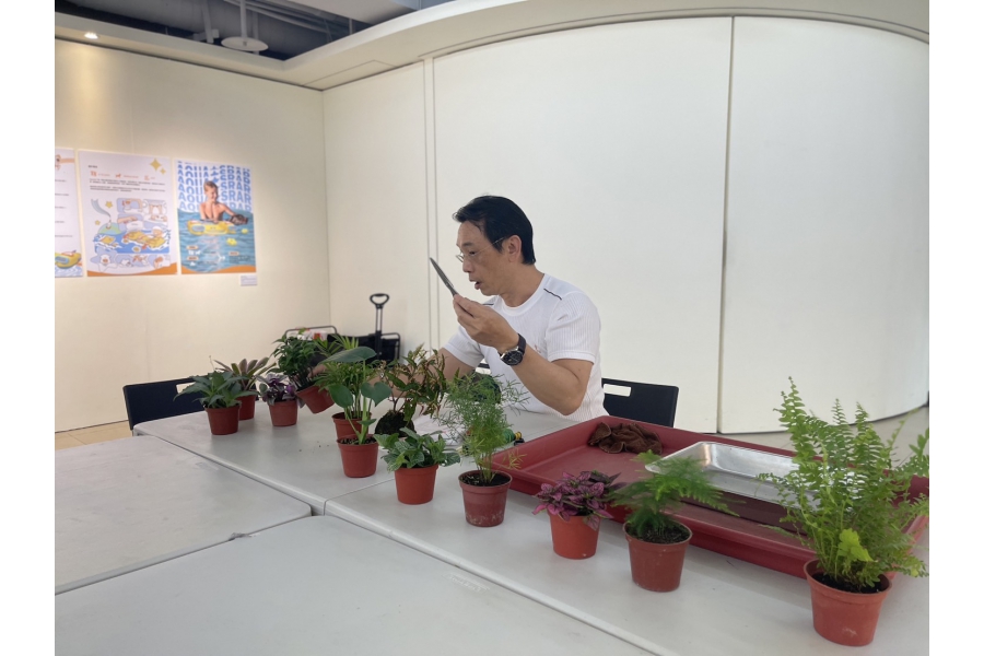 化暗黑為力量・綠手指點成金 6