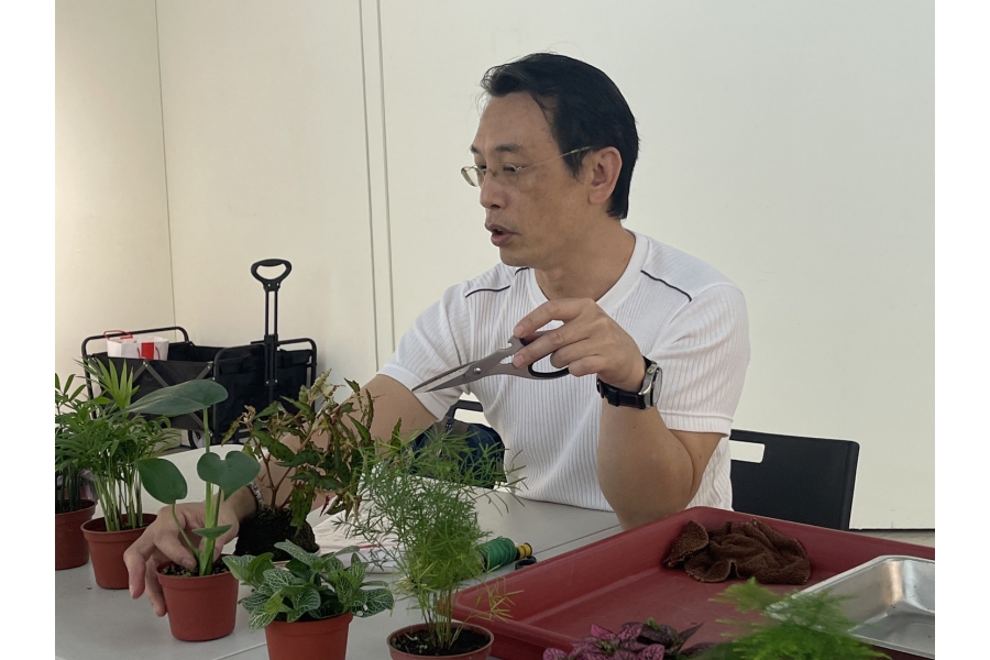 化暗黑為力量・綠手指點成金 7