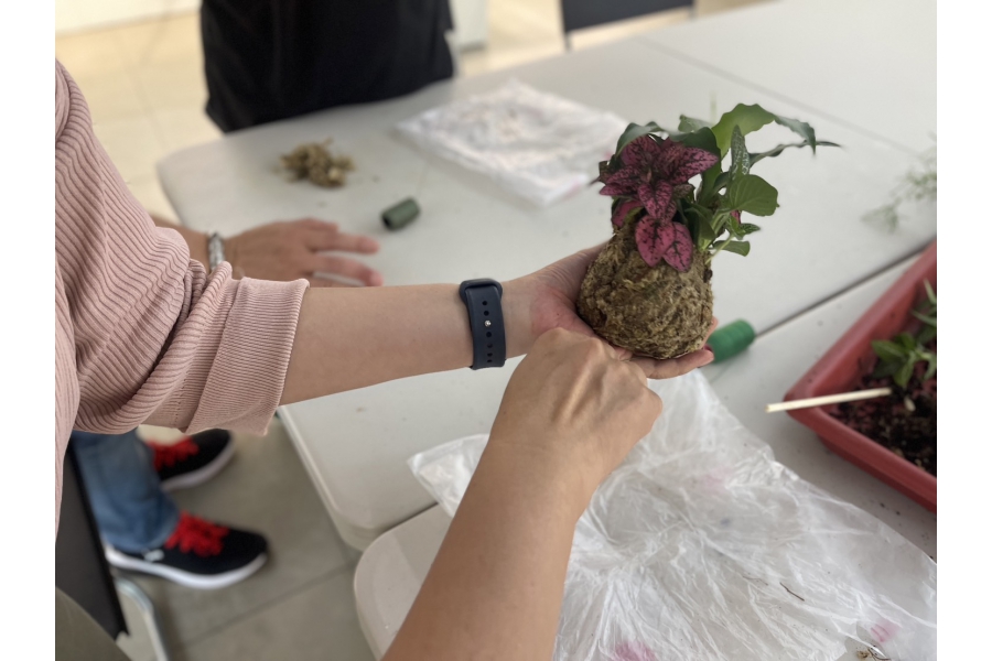 化暗黑為力量・綠手指點成金 10
